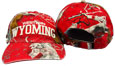 Western Wyoming Camo Hat