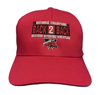 Back 2 Back National Champions Hat