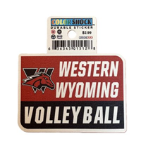 Color Shock Durable Sticker Volleyball