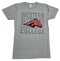 Dakota Triblend Tee