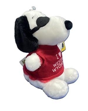 PEANUTS WWCC PAL JOE