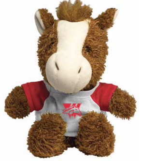 Pony W/ T-Shirt