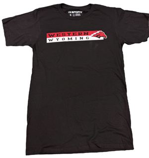 Western Wyoming Stripe Tee
